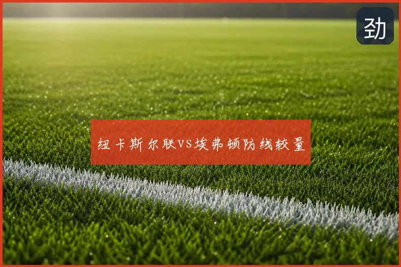 纽卡斯尔联vs埃弗顿防线较量